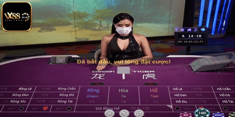Bí kíp cược Rồng Hổ