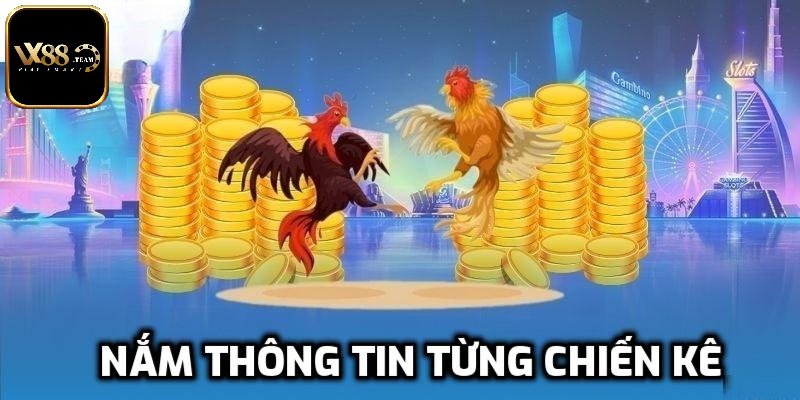 Chiến lược thông minh giúp bạn làm chủ mỗi trận đá gà