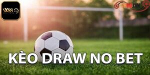 Kèo Draw No Bet Là Gì? Bí Kíp Chinh Phục Kèo Hiệu Quả