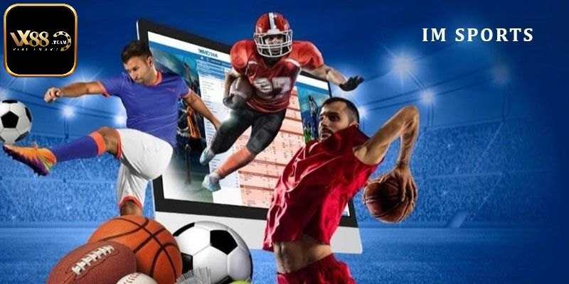 Top 4 nhà cung cấp thể thao uy tín trên thị trường